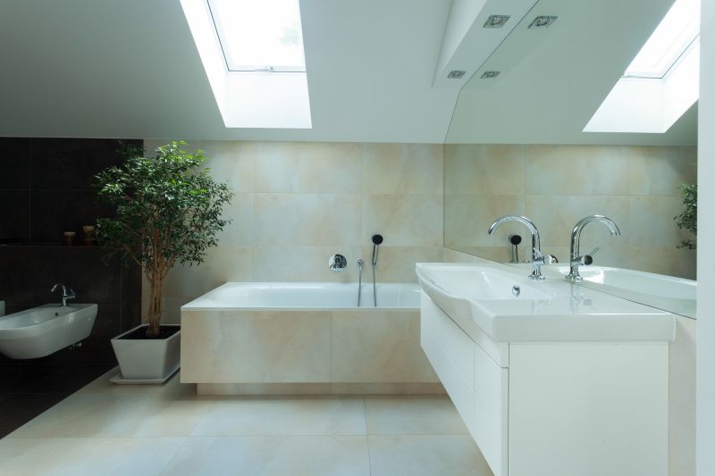 Bathroom with Natural Light